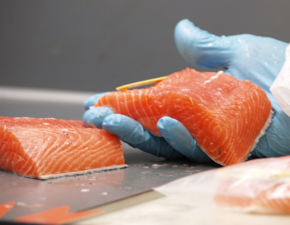 In Lachs sind pro 100 g Fisch zwischen 1,0 und 1,8 g EPA und DHA enthalten. Besonders viel steckt auch in Hering und Sardinen. Nun jedoch nur noch Hering zu essen, wäre natürlich falsch. Wer ab und zu Fisch greift, macht im Grunde alles richtig.
