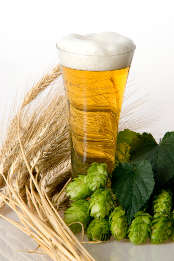 Gerstenmalz ist eine der wichtigsten Zutaten im Lieblingsgetränk der Deutschen: dem Bier. 
