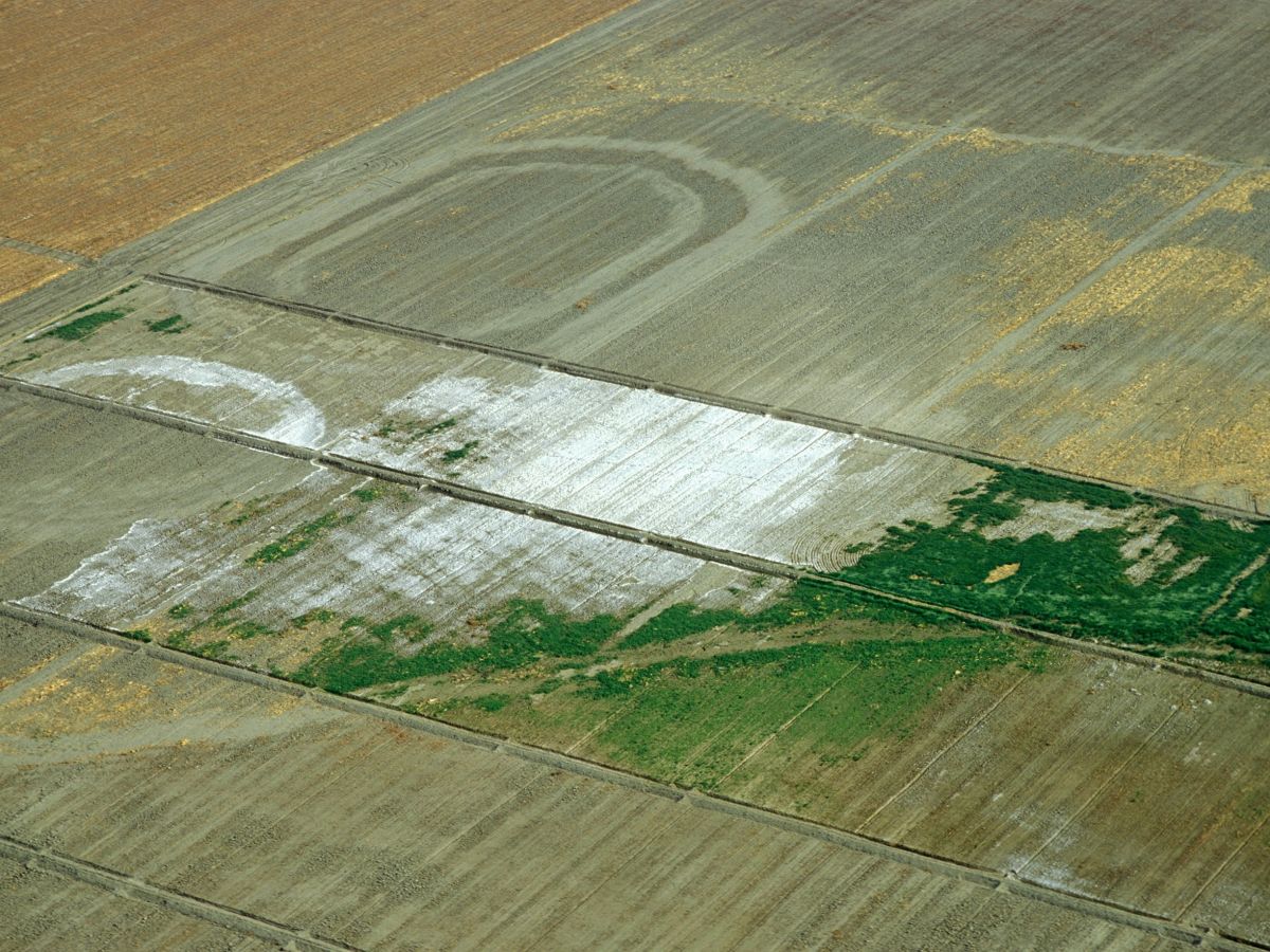 Zu viel Salz im Boden behindert das Pflanzenwachstum. Auf dem Foto sind versalzte Felder in Zentral-Kalifornien zu sehen. (Bildquelle: ©Scott Bauer / Wikipedia, gemeinfrei)
