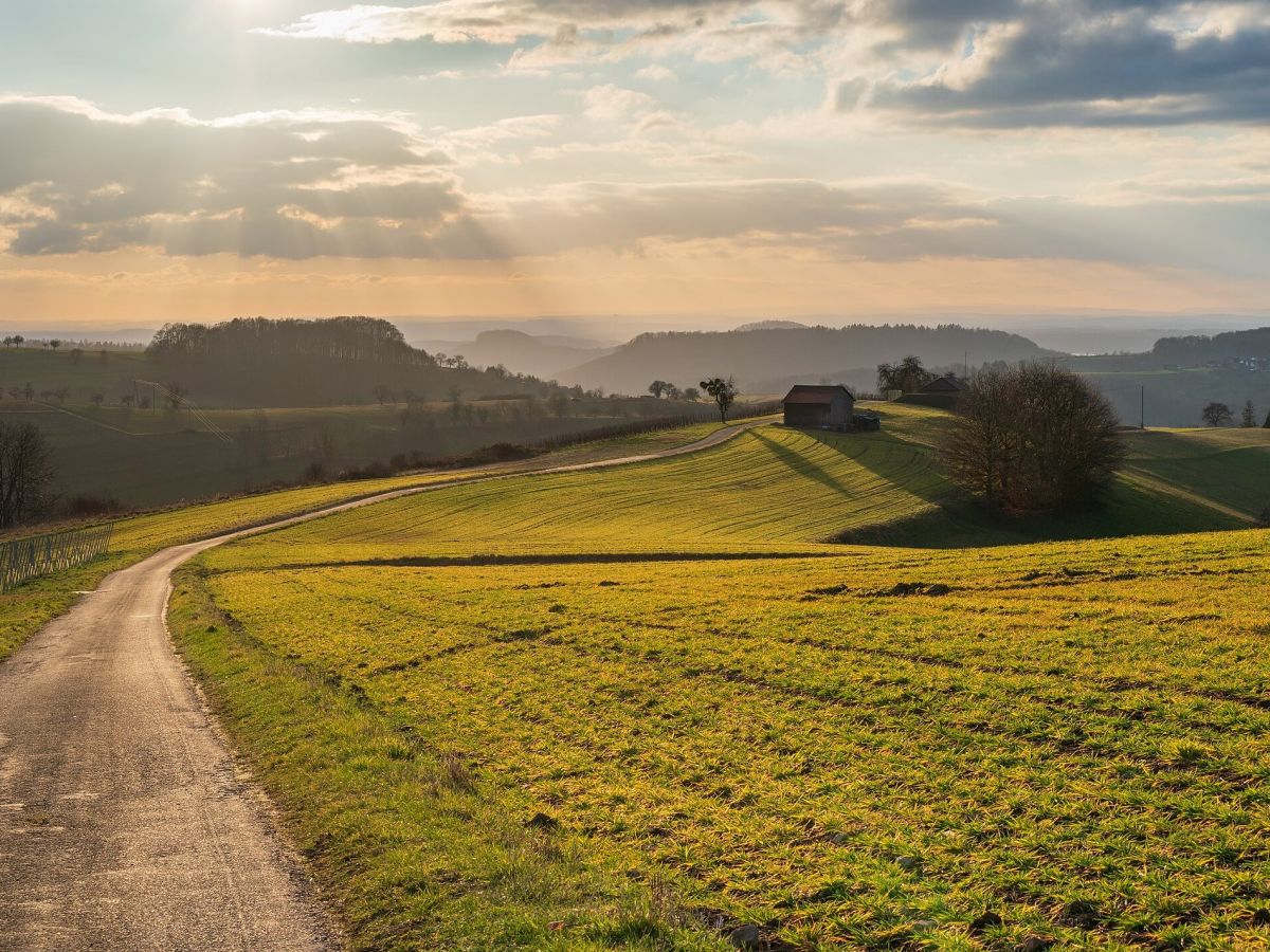 Vielfältige Landschaften beherbergen mehr Arten und sind robuster gegenüber negativen Einflüssen.
